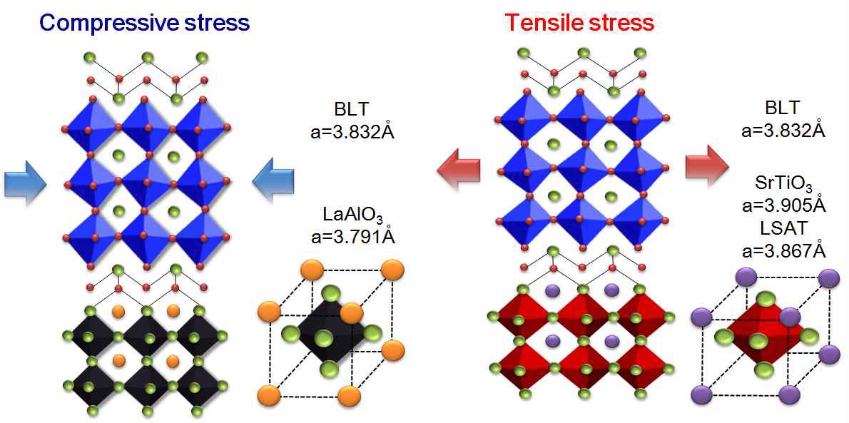 STO, LSAT, LAO기판에 따른 BLT박막 스트레인에 대한 모식도