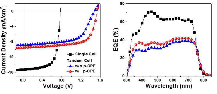 P-type 기능층과 광활성 물질을 포함한 혼합잉크로 제작된 이중 접합 소자의 J-V 특성 및 외부양자효율(EQE) 측정 결과