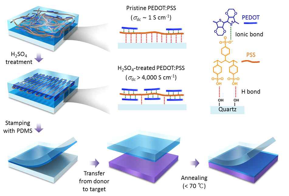 Chemically controlled transfer-printing PEDOT전극을 제조 과정