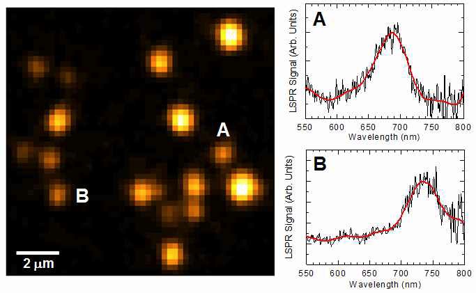 금 나노로드의 LSPR 분광 이미지와 스펙트럼