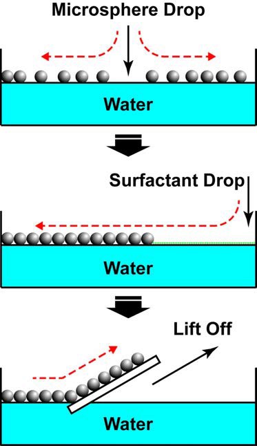 Air/water interface를 이용한 microsphere 단일층 제작 방법