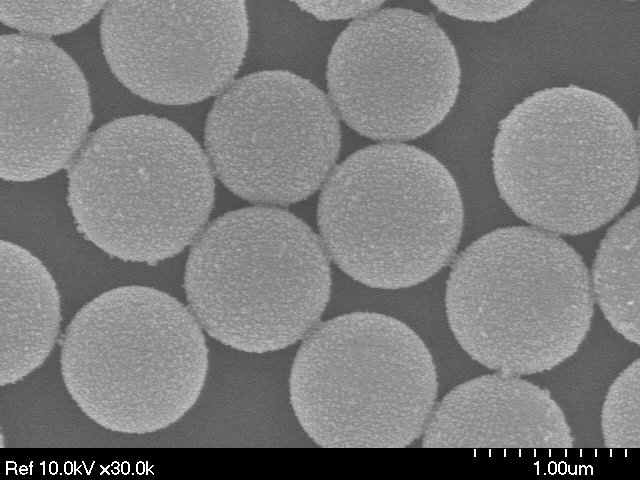 금 나노입자가 흡착된 Polystyrene microsphere 단일층의 SEM 이미지