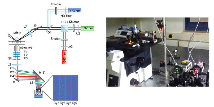 총 4색 형광신호 측정이 가능한 전반사 현미경 모식도와 실제 제작된 현미경