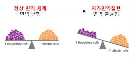 TREG세포의 수와 면역균형의 상관관계