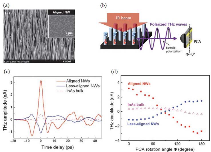 나노선 SEM 이미지, (b) 전자 이동에 따른 테라헤르츠파 발진 및 검출 개략도，(c) 테라헤르츠 시간영역 신호，(d) 테라헤르츠 검파기(detector)의 회전 각도 에 따른 테라헤르츠 신호의 진폭 변화 실험 결과