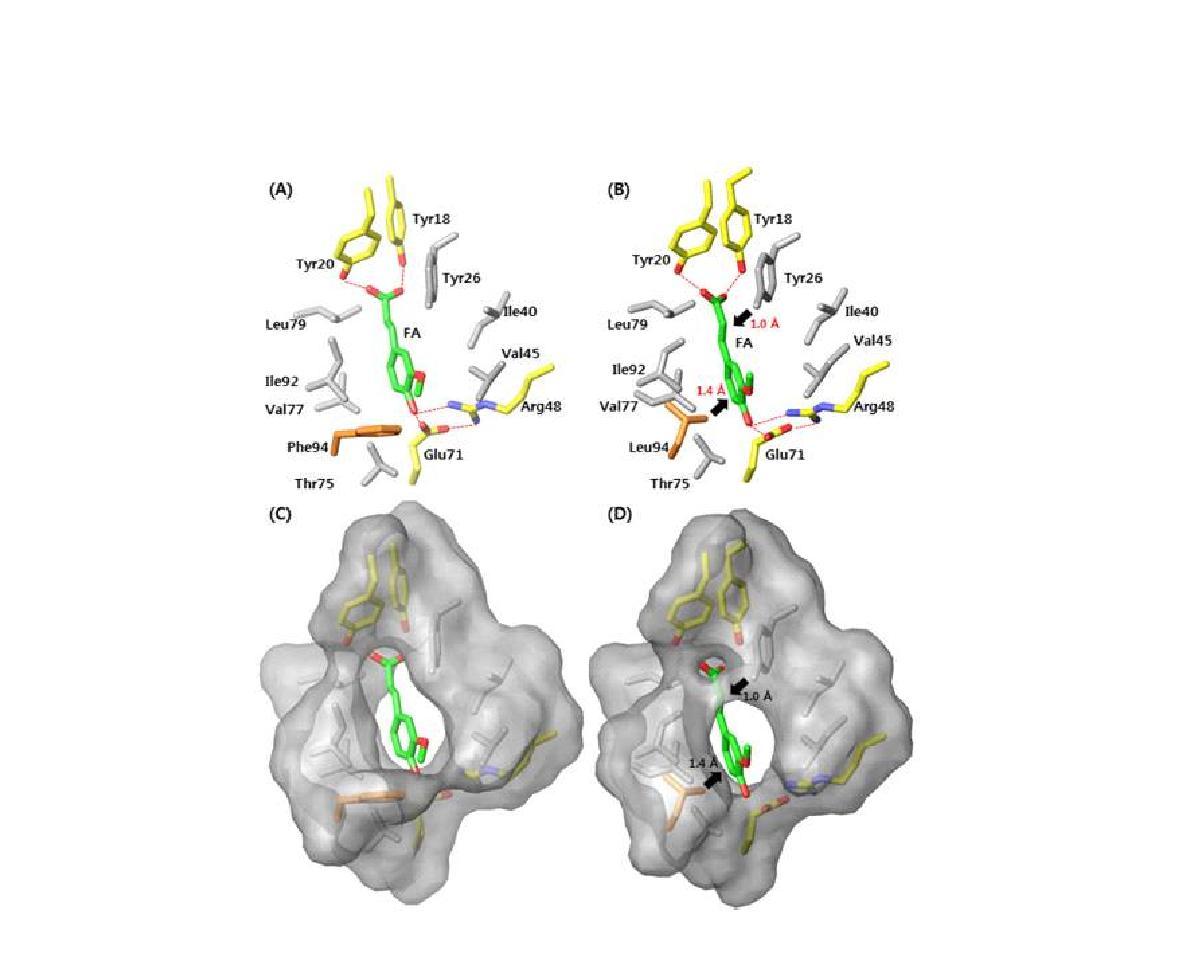 Binding mode 비교(a: wild-type p-coumaric acid decarboxylase from Lactobacillus plantarum and b: mutant FADase(F95L/D112N/V151I))와 Hydrophobic pockets 비교(c: wild-type p-coumaric acid decarboxylase from Lactobacillus plantarumand d: mutant FADase(F95L/D112N/V151I))
