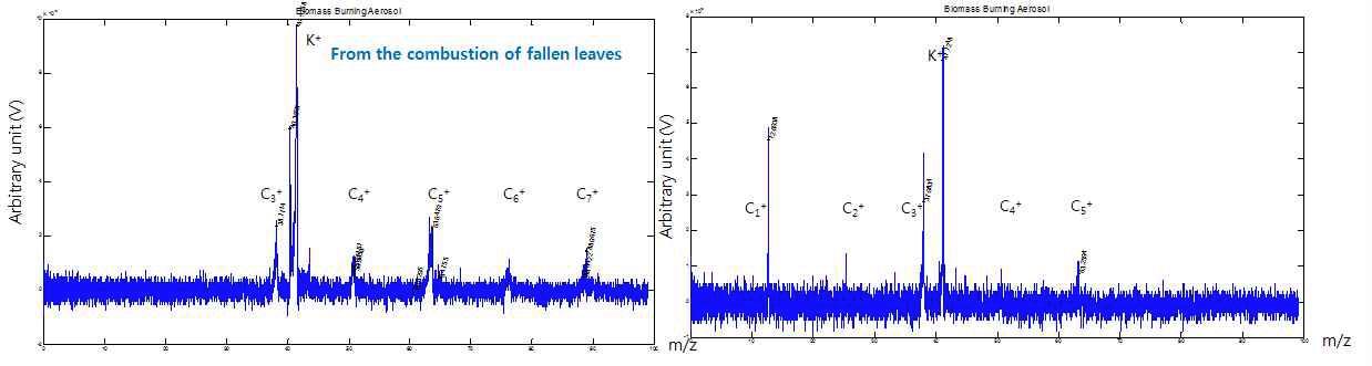 낙엽 연소 시 발생한 입자의 질량 스펙트럼 [GIST-AMS LDI 모드]
