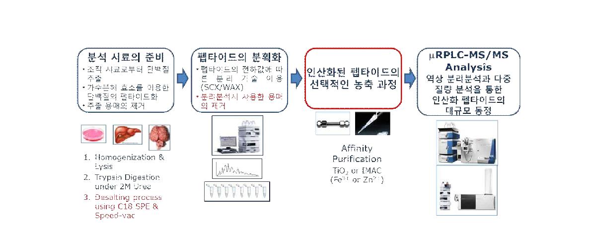 질량 분석 기술을 이용한 대규모 단백질 인산화 정성 및 비교 정량 분석