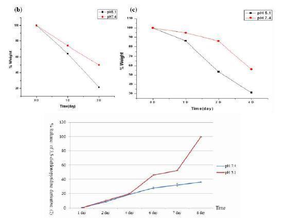 Percent release of 3,5-dichloropyridine derivative (2) from nanoparticles in a pH-dependent manneras a function of processing time.