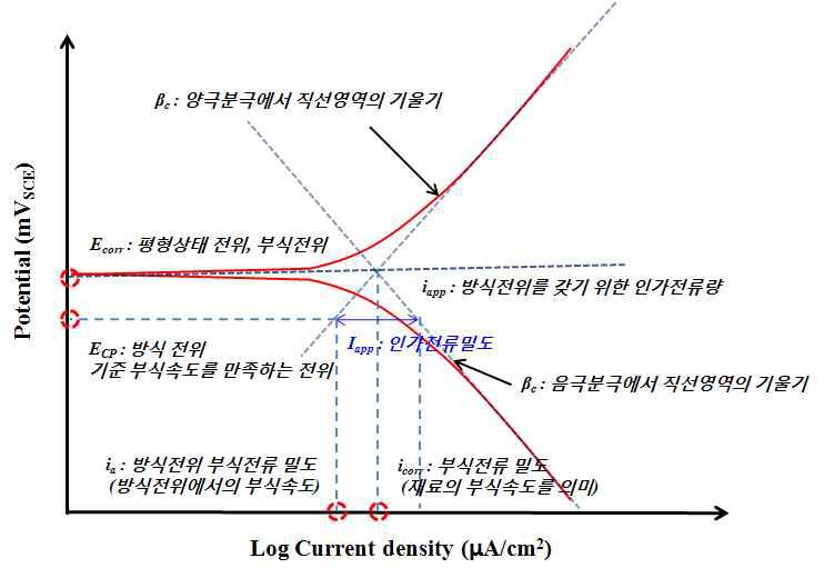 분극곡선에서의 산출 인자들