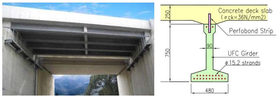 Horikoshi C Ramp bridge, 일본 (Okuma et al., 2006)