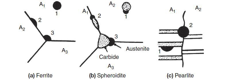 (a) 페라이트, (b) 스페로이다이트, (c) 펄라이트의 오스테나이트 생성 사이트