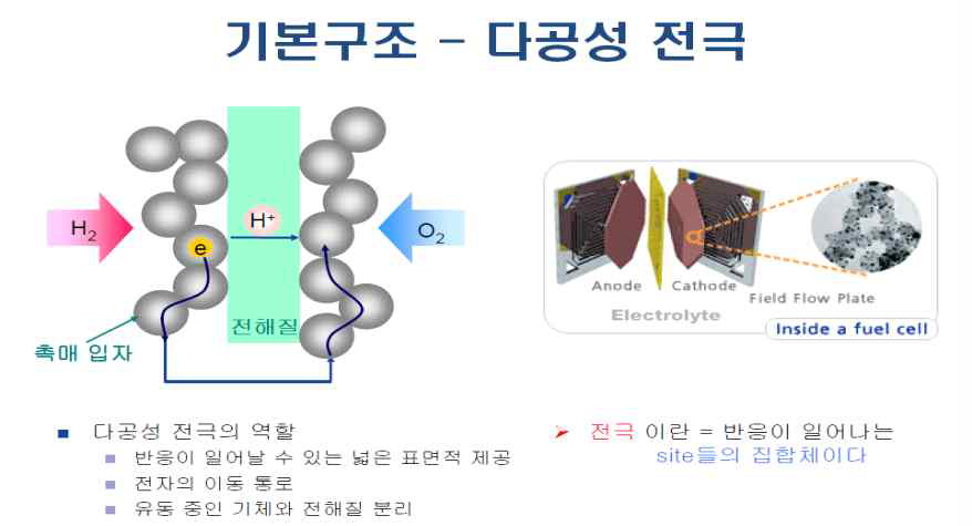 연료전지 기본구조 - 다공성 전극