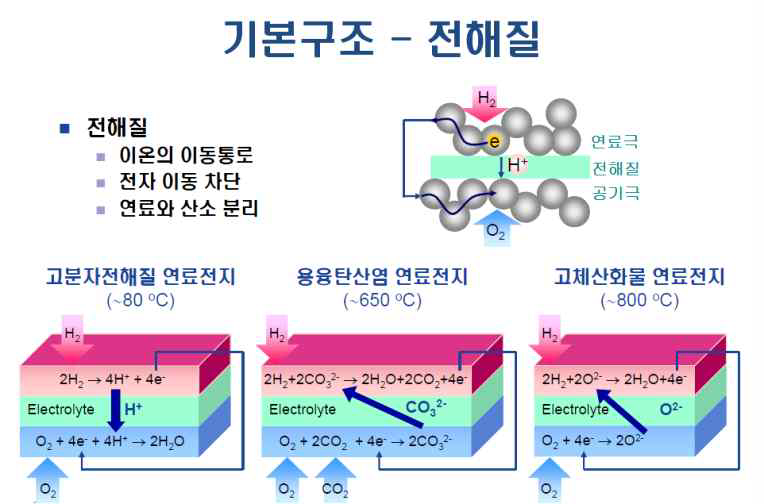 연료전지 기본구조 - 전해질