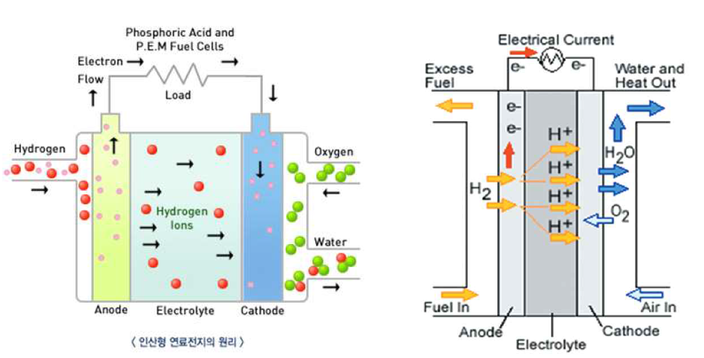 PAFC의 전기화학 반응