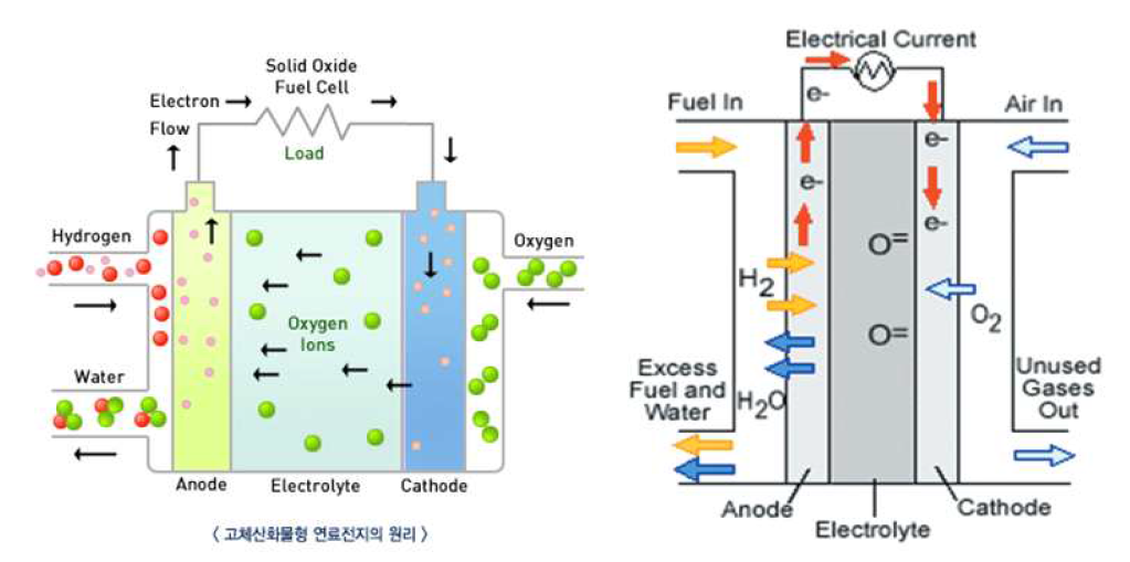SOFC의 전기화학 반응