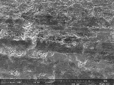 SEM images of the C/C-SiC specimens showing the worn out surface