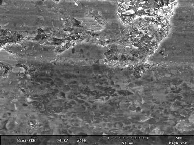 SEM images of the C/C-SiC specimens showing the worn out surface at high magnification