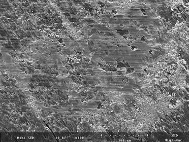 SEM images of the C/C-SiC-Cu specimens showing the worn out surface