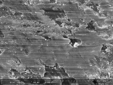 SEM images of the C/C-SiC-Cu specimens showing the worn out surface at high magnification.