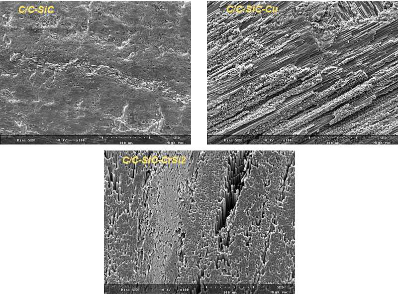 Compare of SEM images of the specimens showing the microstructure