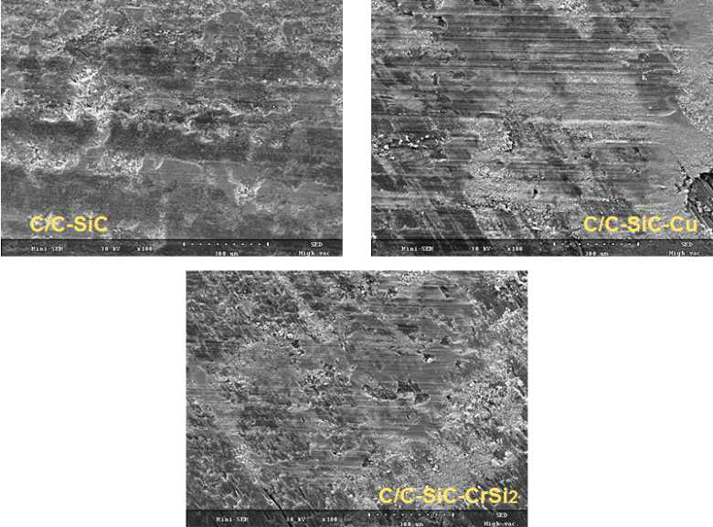 SEM images of the specimens showing the worn out surface