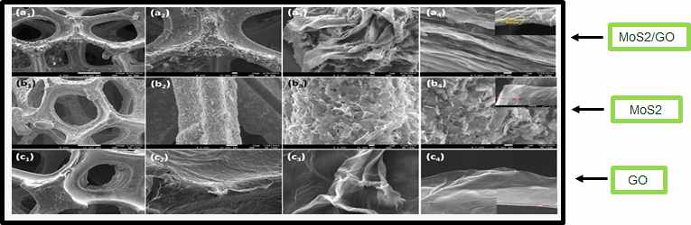 MoS – GO 전극 표면 SEM