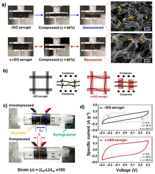 60% 힘으로 압축한 후, 가교 결합된 rGO 에어로겔과 rGO의 SEM 이미지와 디지털 이미지