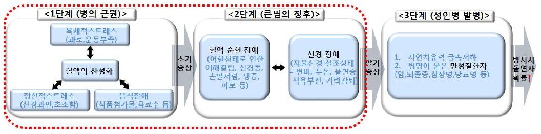 만성질병의 발병 단계 구분