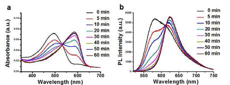 γ-glutamyltranspeptidase(GGT) 엔자임에 의해 비율 계량 유닛의 형광 변조. 흡광 스펙트럼(a) 과 형광 스펙트럼(b)