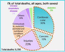 Proportional mortality in the UAE