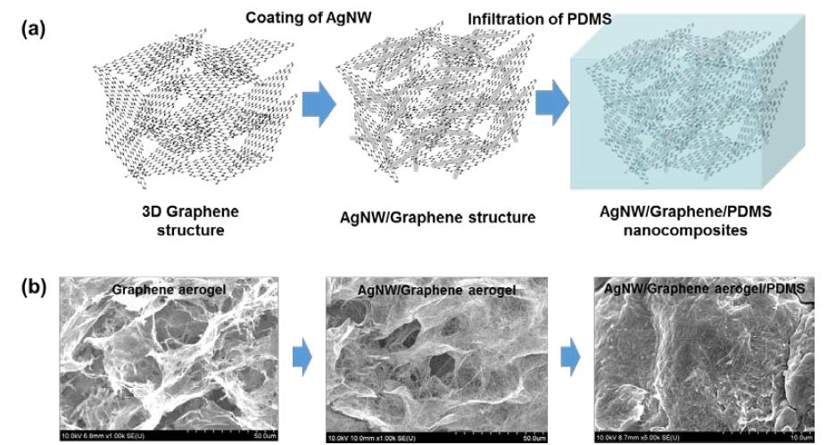 Schematic images of AgNW/GA/PDMS nanocomposites (b) Microstructure changes as fabrication flow (GA → AgNW/GA → AgNW/GA/PDMS nanocomposites)