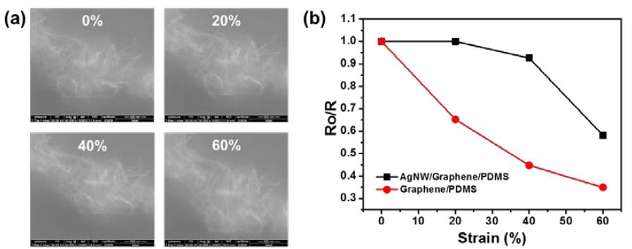 (a) Microstructure changes of AgNW/GA/PDMS nanocomposites with strain (b) Electrical resistance changes of GA/PDMS and AgNW/GA/PDMS nanocomposites with strain