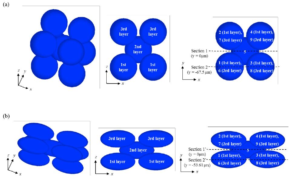 Definition of sections and numbers; (a) sphere shape; (b) spheroidal shape