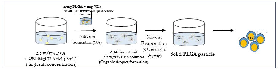 Scheme of the PLGA rigid nanoparticle encapsulating Vitamin-D3 molecules by emulsion and salting out process. Final particles can be obtained centrifugation as pellets.