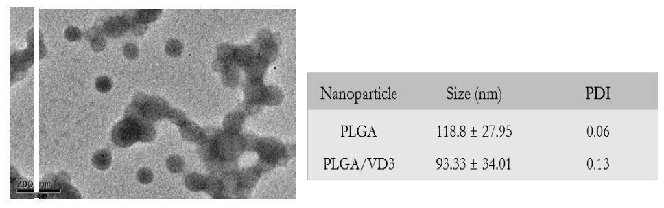 TEM images of Vitamin-D3 loaded PLGA particle and size measurement by DLS