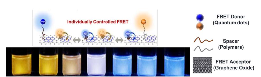 Dual-responsive, polymer-integrated graphene system in water with colorimetric response to the indicated analyte