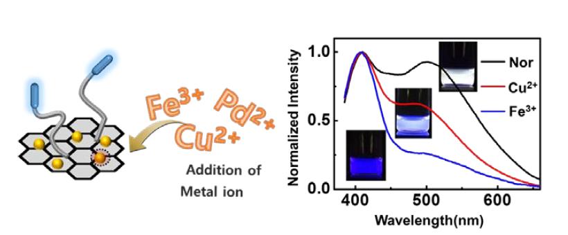 Scheme of polymer-integrated, graphene quantum dot (GQD) detector that provides colorimetric response to various metal ions