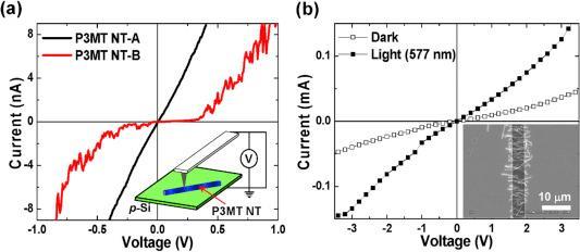 I−V characteristic curv es of the isolated single strand of the pristine (NT-A) and dedoped (NT-B) P3MT NT by using c−AFM. Inset: Schematic illustration of measurement setup. (b) A comparison of the I−V characteristic curves of the P3MT NTs-B under the dark and photo-excited conditions. Inset: SEM image of the P3MT NTs-B onto the bottomcontacted 2-probe electrodes.