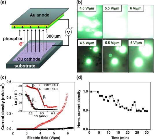 (a) Schematic diagram of the FE cell. (b) A comparison of FE images of the P3MT NTs-A [top] and P3MT NTs-B [bottom] through green phosphor screen. (c) J−E characteristic curves of the P3MT NTs-A (□) and NTs-B (Full-size image (10 K)). Inset: FN Plot of Fig. 4c. (d) Time dependent (J−t) FE characteristics of the P3MT NTs-A. (For interpretation of the references to color in this figure legend, the reader is referred to the web version of this article.)