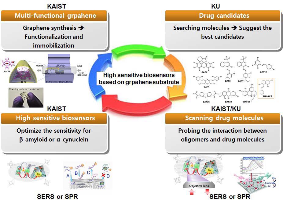 is a schematic diagram showing how to conduct and cooperate between two research partners (KAIST and KU) for this project.