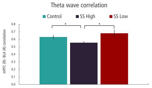 Theta파 연관성