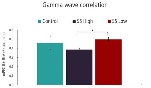 Gamma파 연관성