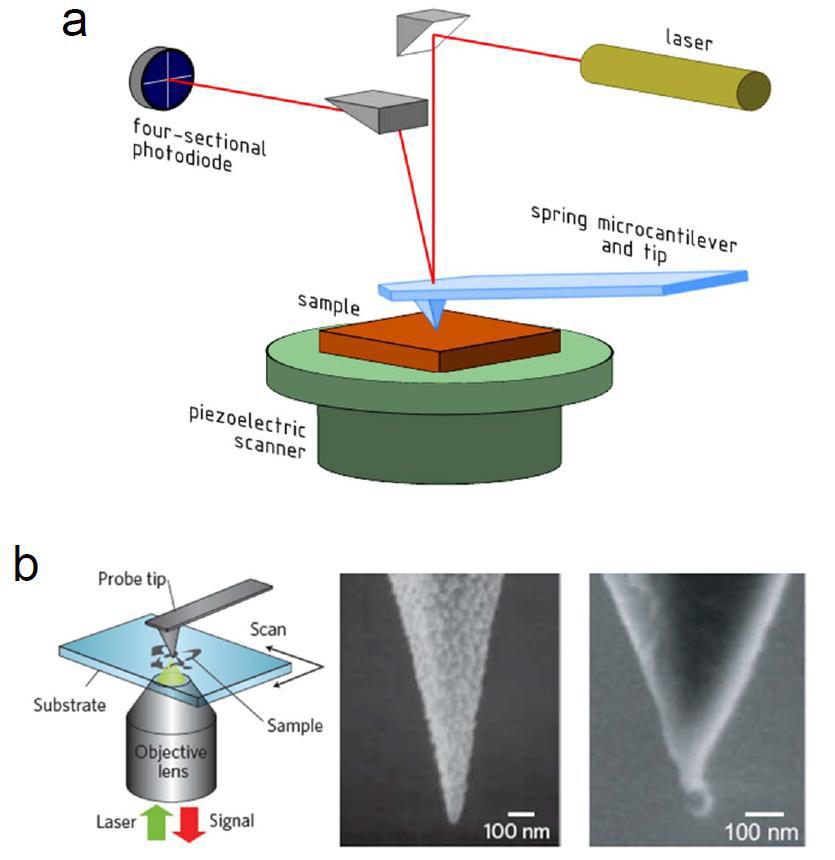 (a) AFM의 동작 원리를 나타낸 개략도. (b) Metallic probe tip을 이용한 near-field scanning optical microscope 개념도 및 일반적으로 사용되는 metallic probe tip의 전자현미경 사진.