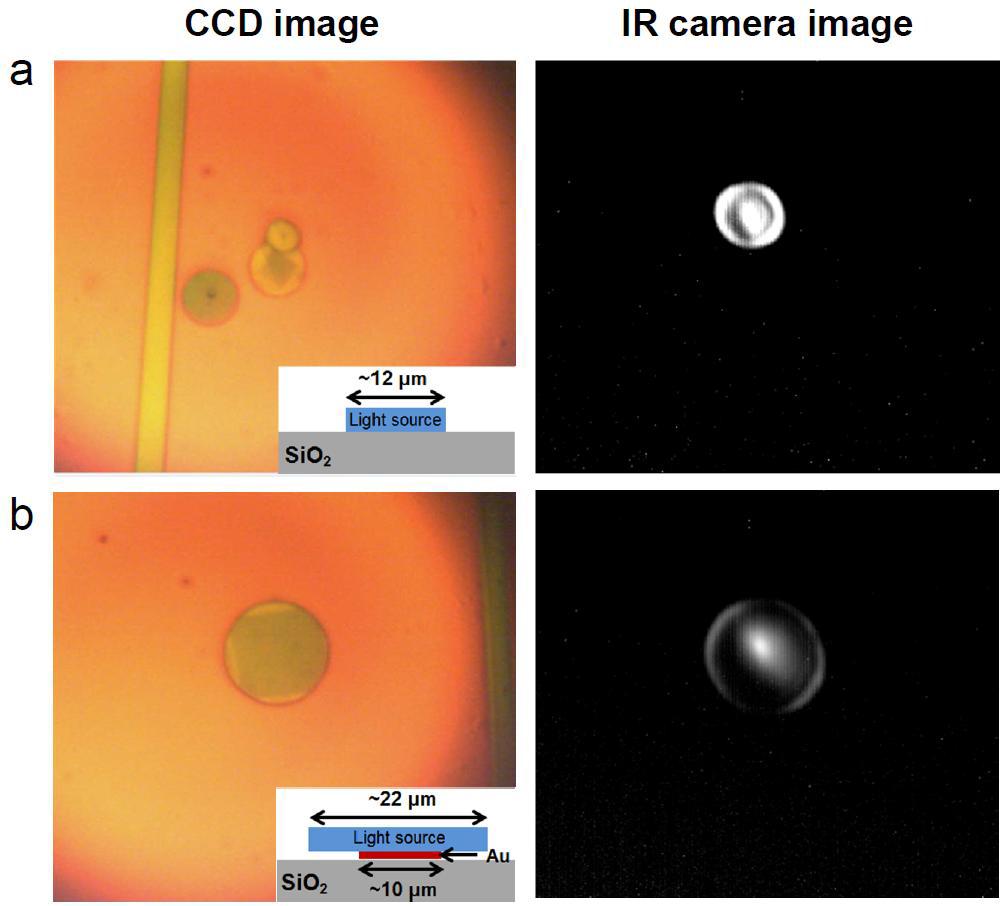 (a) 지름 약 12 μm의 마이크로디스크 형태이 반도체 광원과 (b) 지름 약 22 μm에 국부적으로 (약 10 μm) 금속이 증착된 반도체 광원에 대한 CCD 카메라 사진과 반도체 광원으로부터 발생한 빛을 관찰한 적외선 카메라 사진