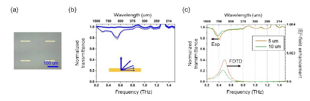 (a) 제작한 테라헤르츠 안테나 배열의 광학 현미경 이미지, (b) 한쪽 길이 150 um인 안테나 배열에 대해 편광 방향에 따른 투과율 변화를 측정한 그래프로 두께가 얇은 화살표부터 안테나 길이 방향과 0˚, 10˚, 20˚, 45˚ 그리고 90˚의 편광을 갖는다. 편광이 90˚에 가까워지면 정규화된 투과율이 ‘1’에 도달하는 것으로 보아 플라즈모닉 안테나로써 잘 작동하는 것을 알 수 있다, (c) 폭이 각각 5와 10 um인 길이 100 um인 안테나에 대한 정규화된 투과율 (좌측 y축) 및 FDTD 전산모사로 계산한 전기장 세기 증대 (우측 y측) 그래프이다. 폭 길이에 따른 그래프의 이동 및 낮아짐이 전산모사와 유사한 결과를 주었다.