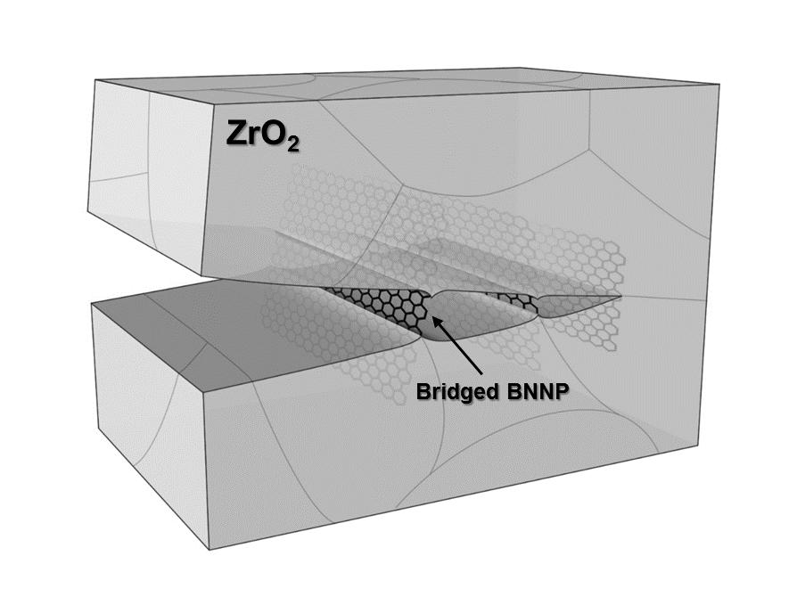 본 연구에서 제조하고자 하는 BNNP 강화 ZrO2 소재의 파괴인성 강화 메커니즘