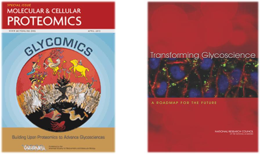 Mol Cell Proteomics, 2013 및 Transforming Glycoscience 표지