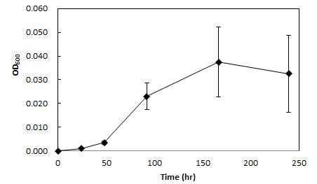 20mM sodium foramte, 5mM phosphate buffer를 첨가한 DNMS 배지에 배양시킨 M. silvestris strain BL2의 성장곡선
