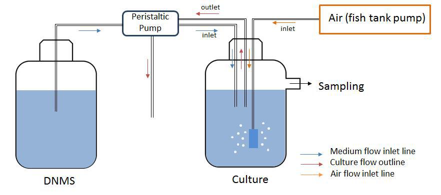 연속반응조 (Continuous culture reactor)의 도식화